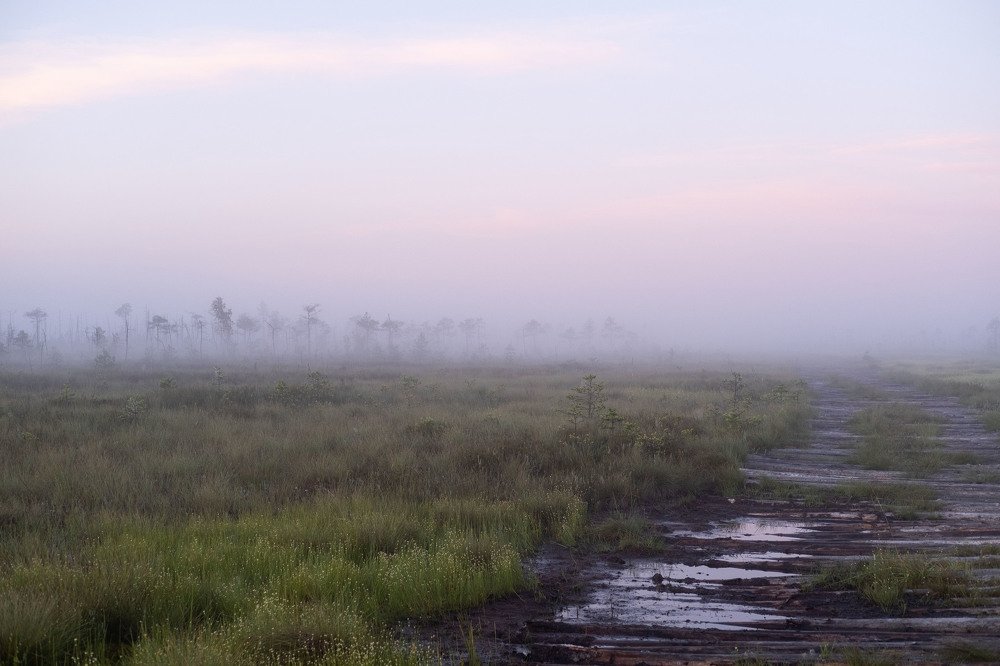 Photograph by Ирина Баранова
