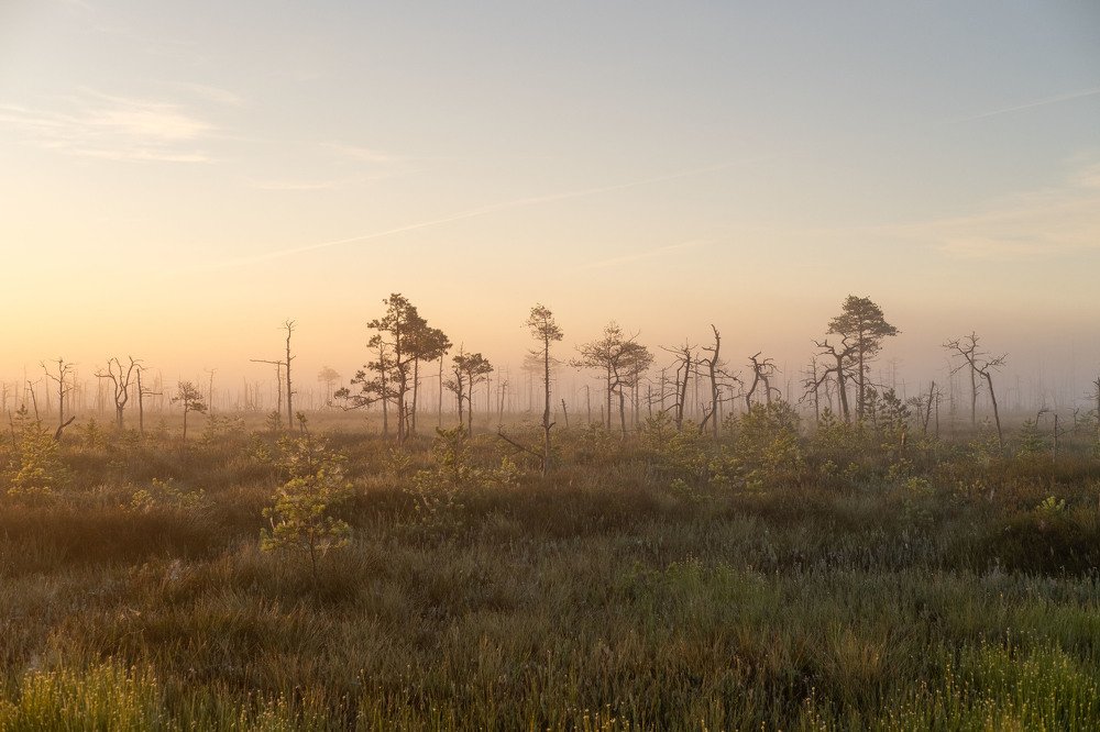 Photograph by Ирина Баранова