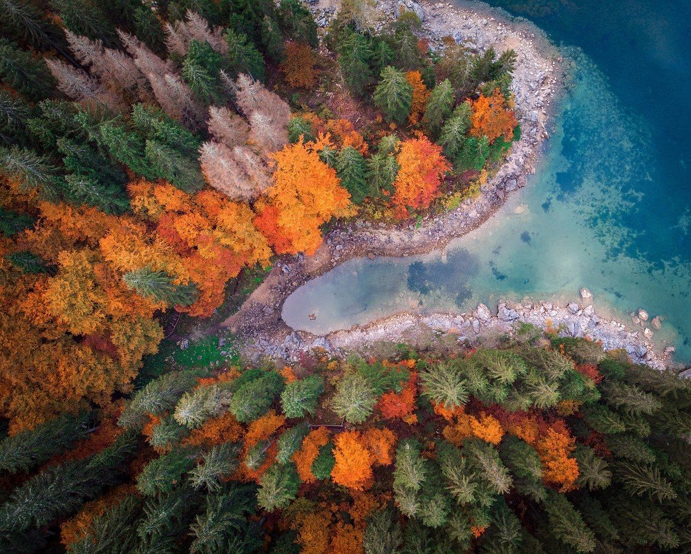 Autumn from above