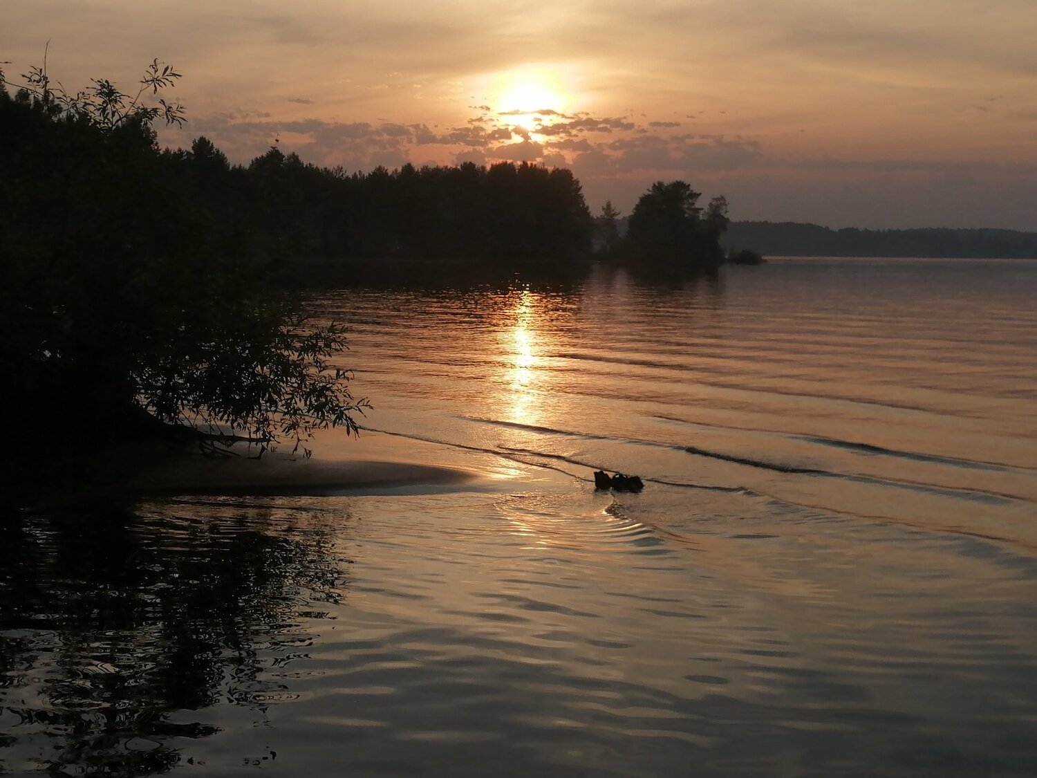 Photo #4834655