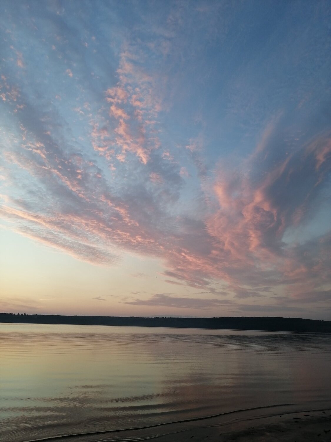Photo #4834656