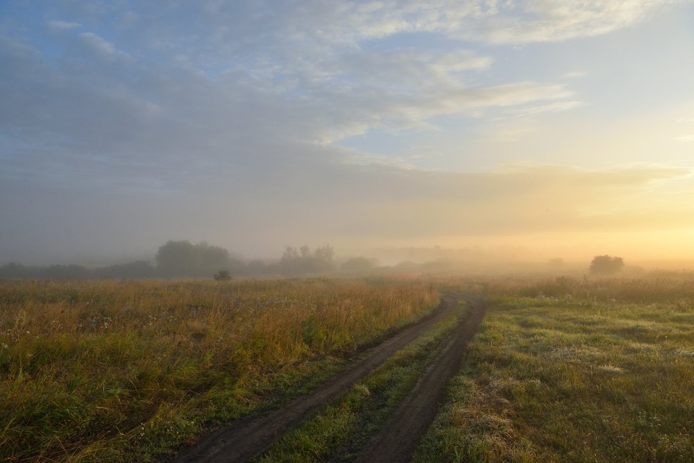 Дорога в сказочный мир туманов