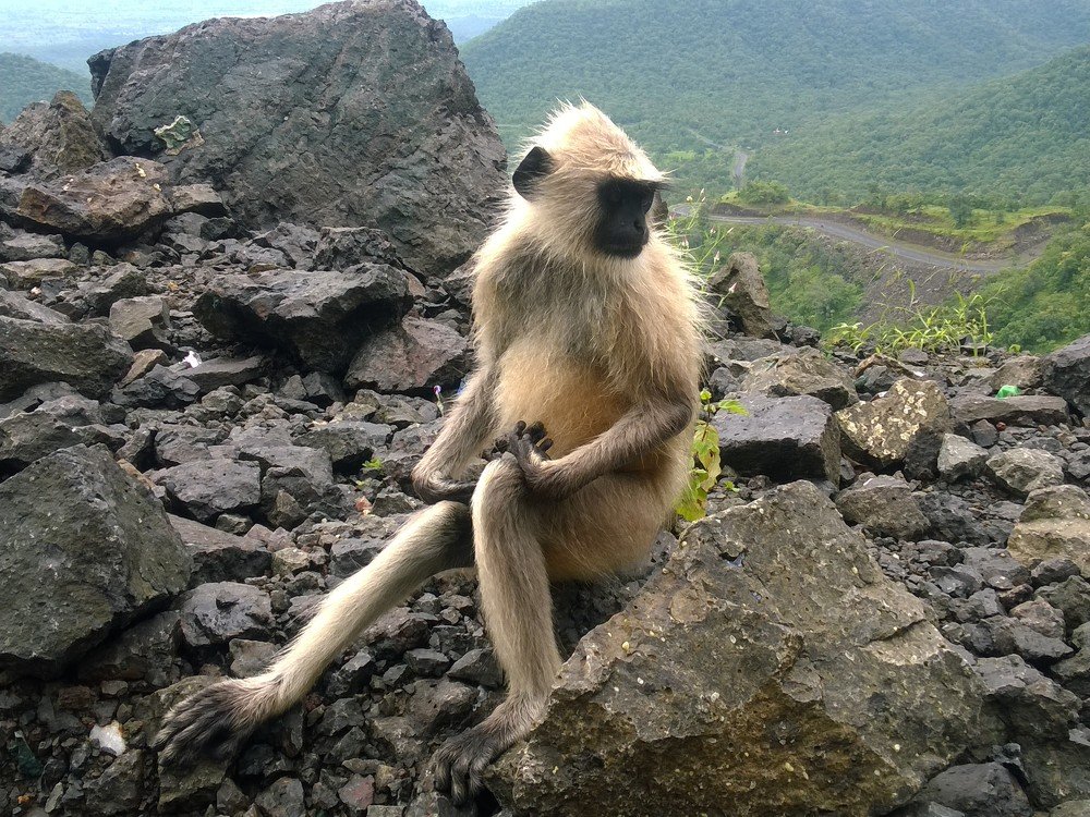 Photograph by sumit sitole