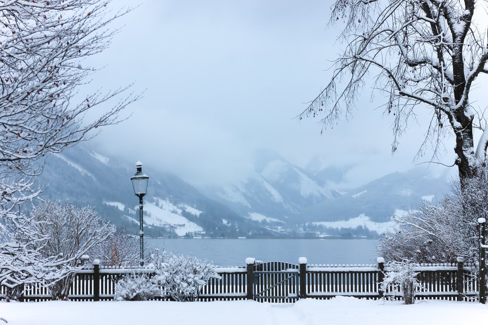 Фотография автора Мария Сурмачева