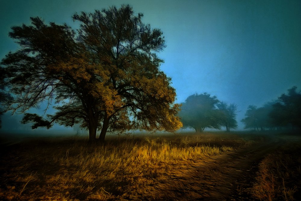 Фотография автора Игорь Баранов