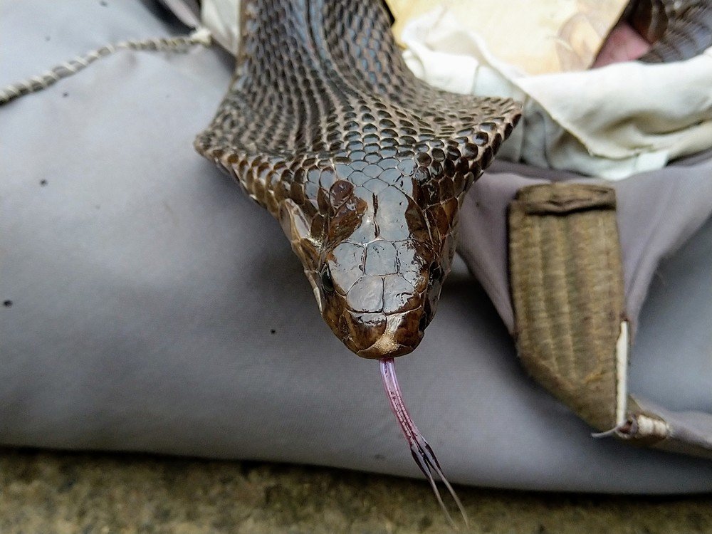 Photograph by sumit sitole