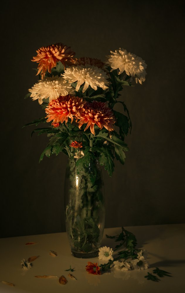 Photograph by Камила Абдуллаева