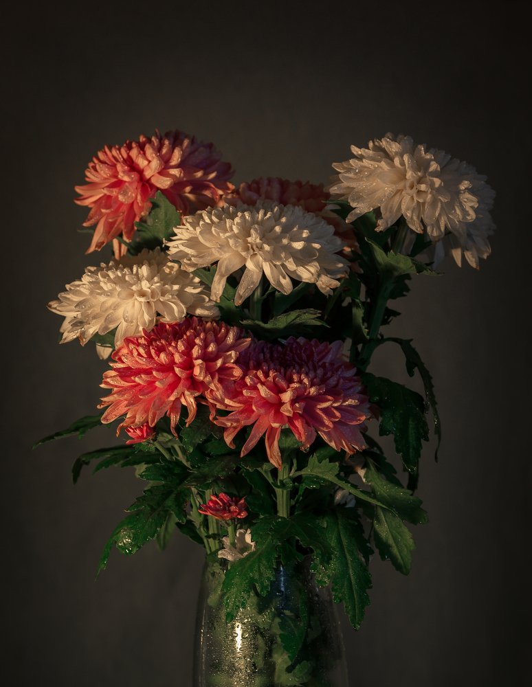 Photograph by Камила Абдуллаева