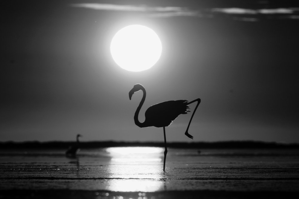 Photograph by Piotr Warzecha