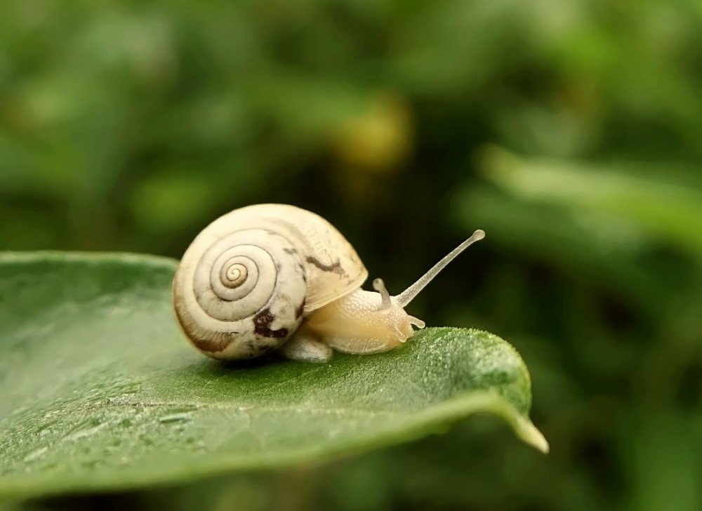 Фотография автора Валентина Гундарева