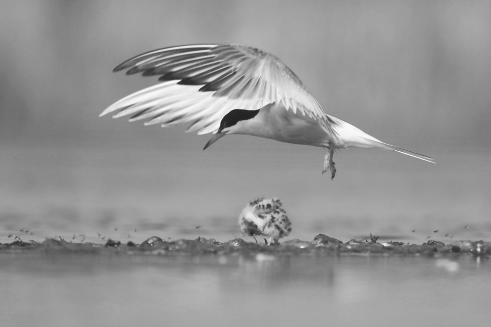 Photograph by Piotr Warzecha