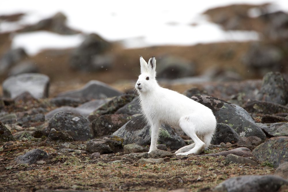 Photograph by Надежда Хаустова