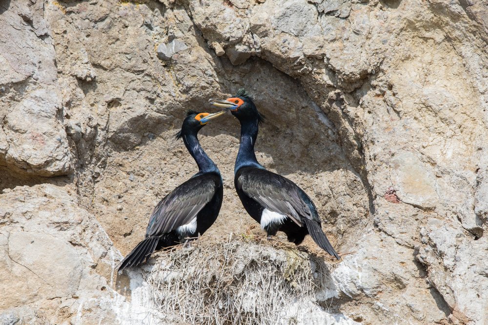 Photograph by Надежда Хаустова