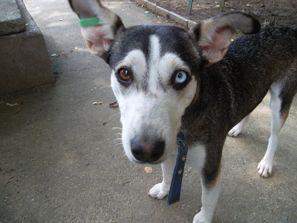 Photograph by Olga Vatkova