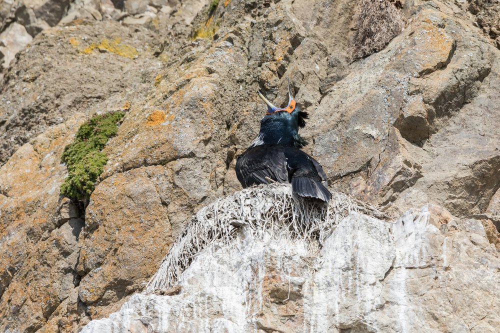 Photograph by Надежда Хаустова