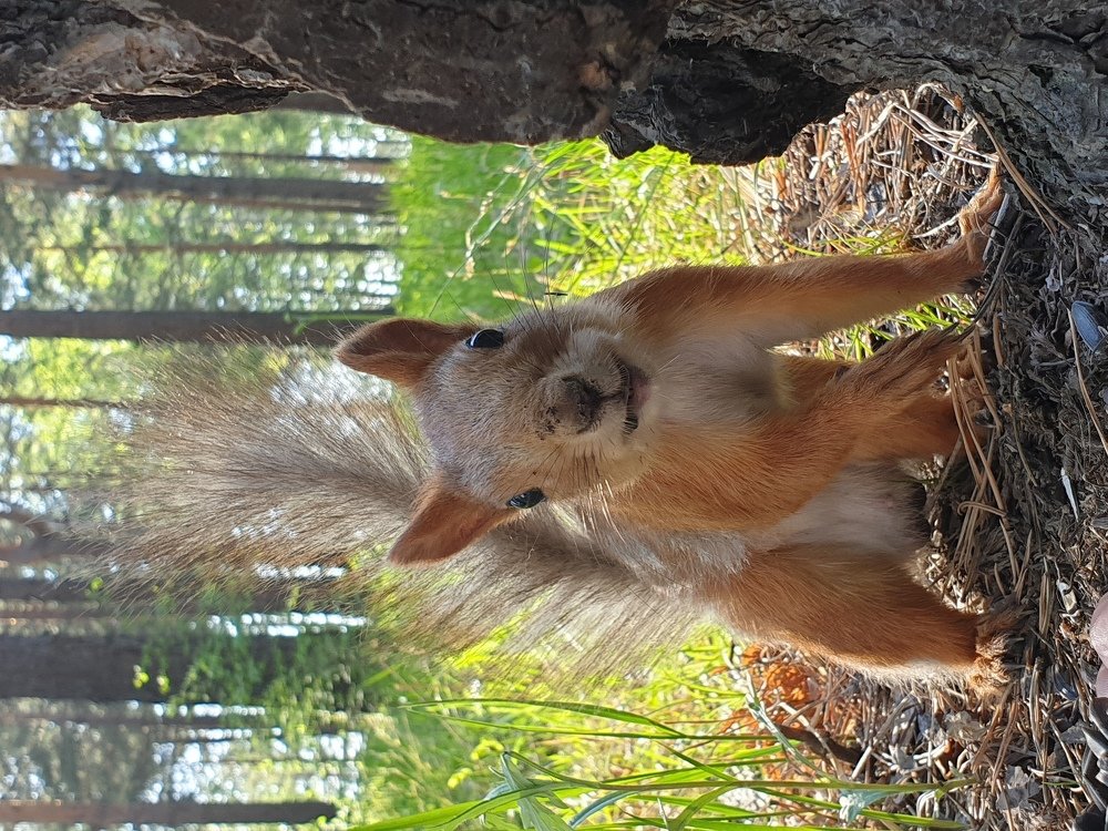 Photograph by Александр Молоцило