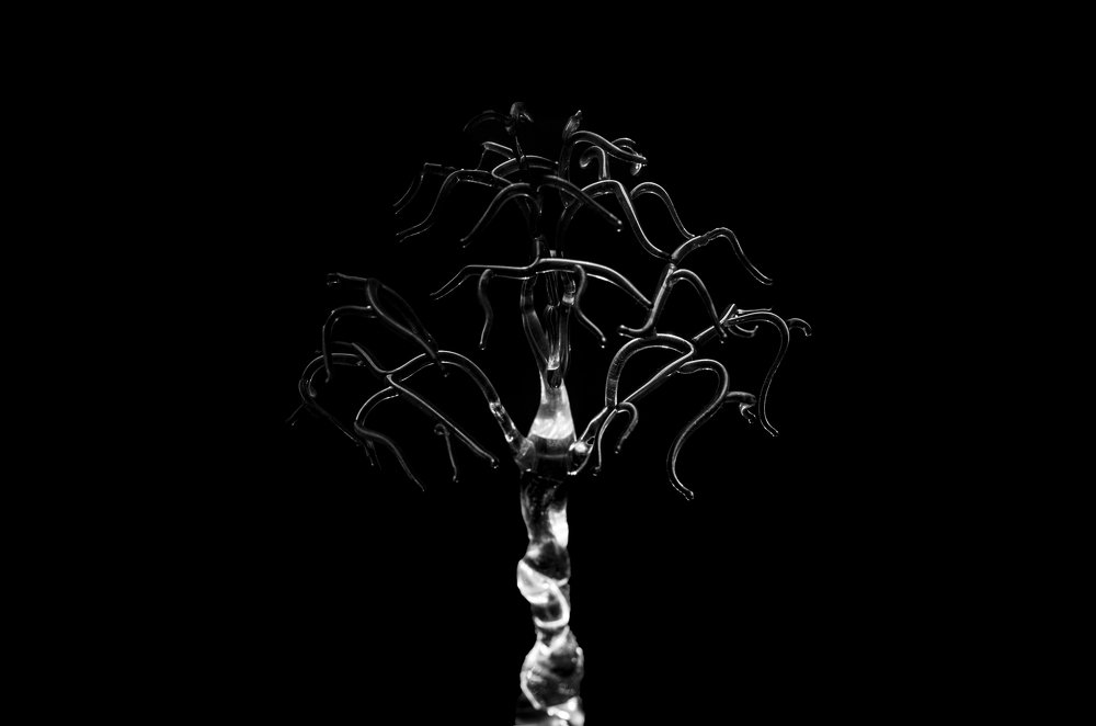 Photograph by Maxim Daiana Maria