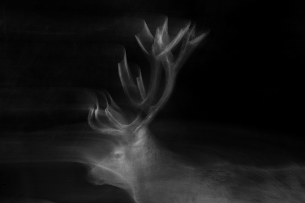 Photograph by Виктория Нарчук