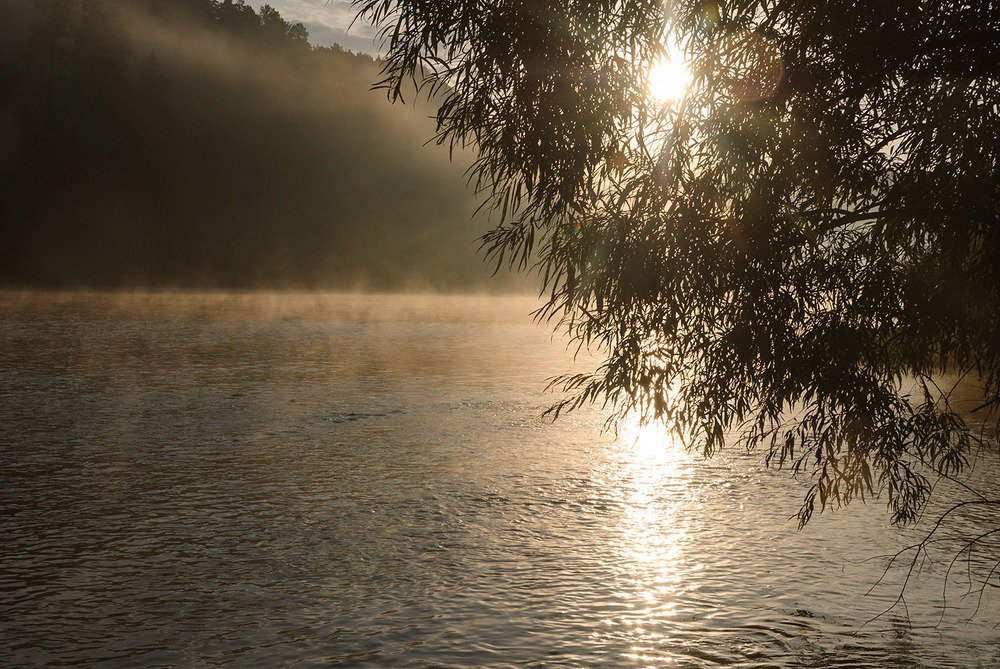 Photograph by Юлия Коротких