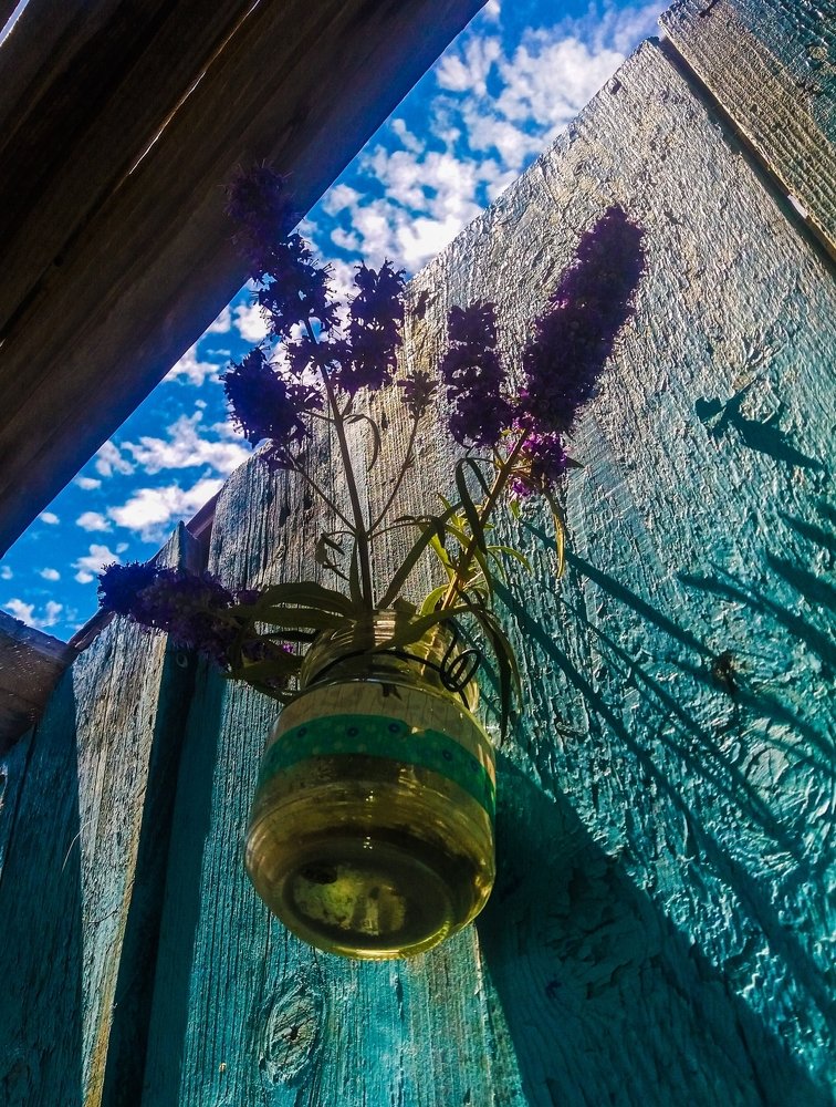 Photograph by Maja Knezevic