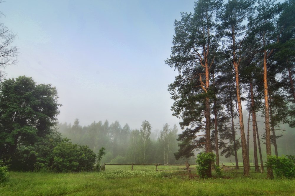 Photograph by Наталья Кащеева