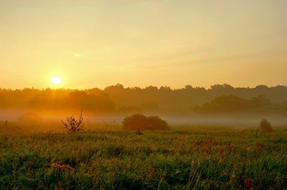 Photograph by Наталья Кащеева