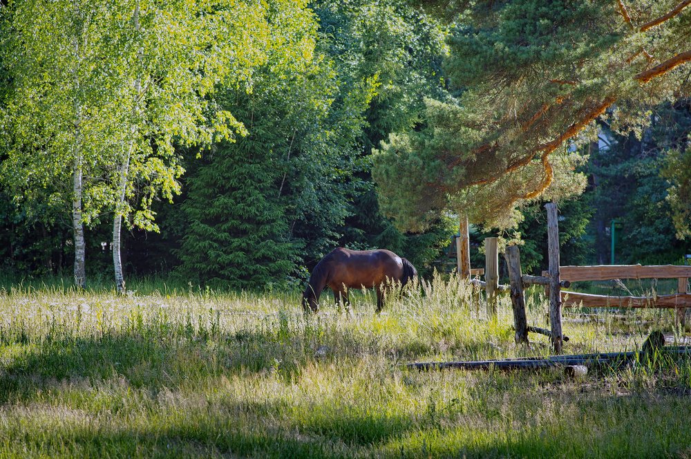 Photograph by Наталья Кащеева