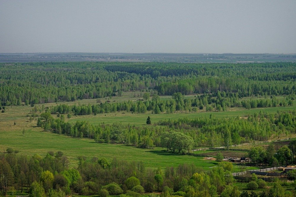 Photograph by Наталья Кащеева