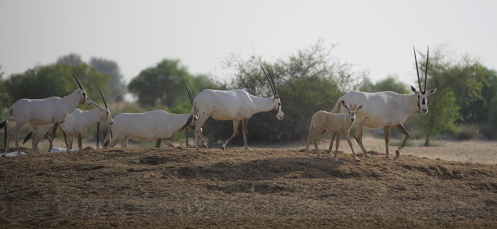 Photograph by Thulasikrishnan M