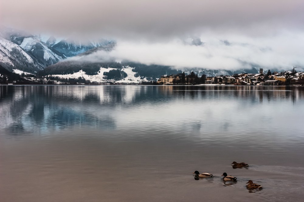Фотография автора Мария Сурмачева