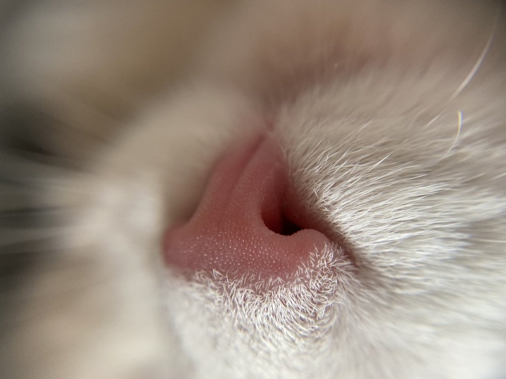 Photograph by Tamara Sulzhik