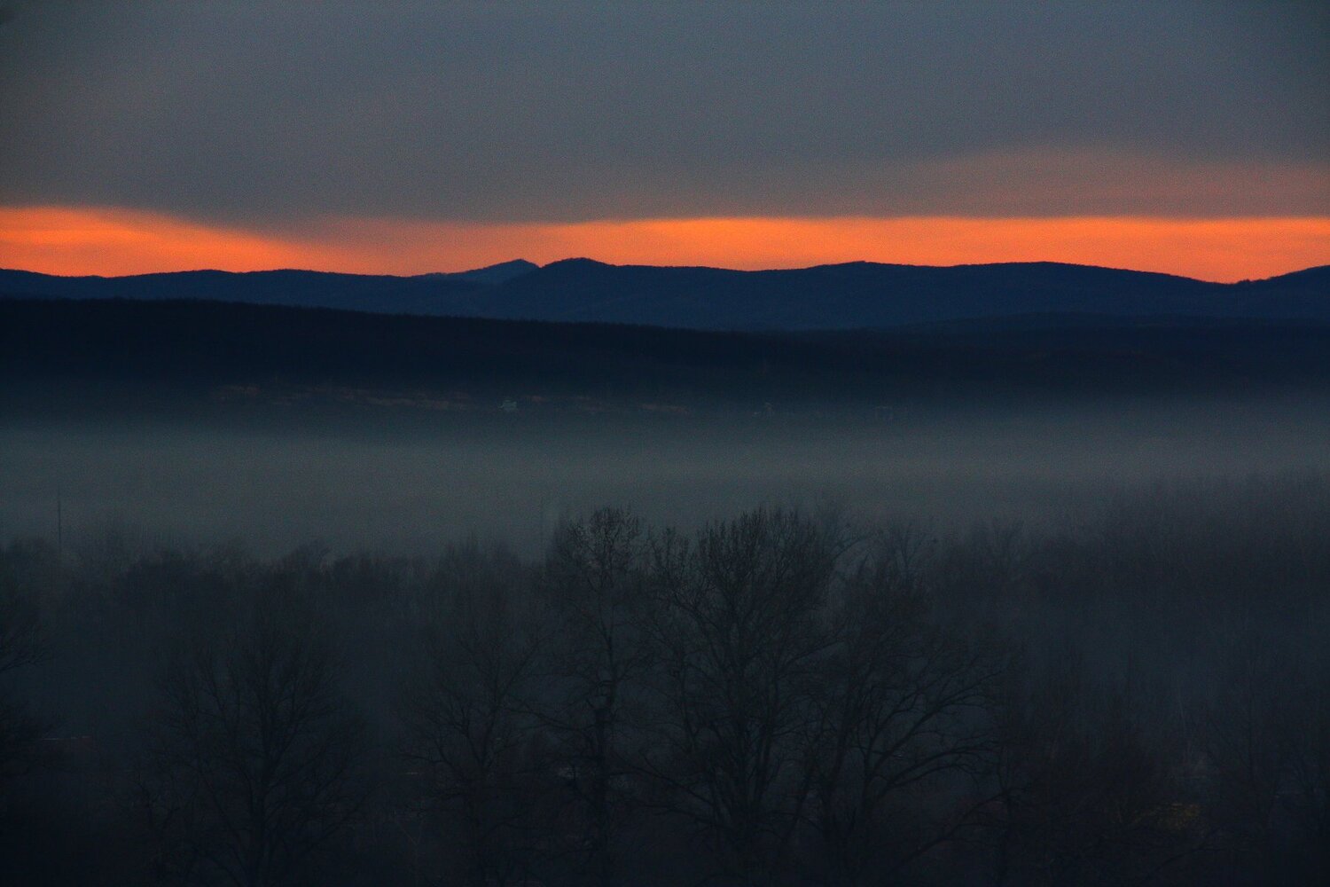 Photo #4835093