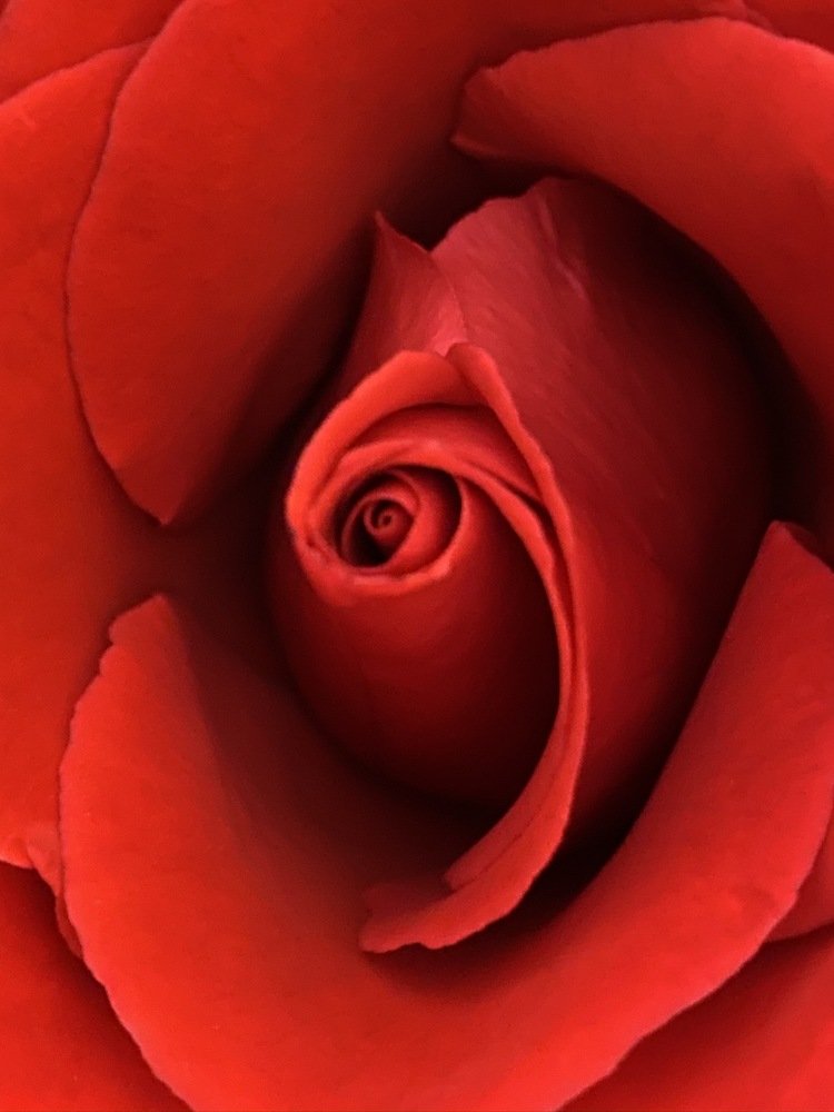 Photograph by Tamara Sulzhik