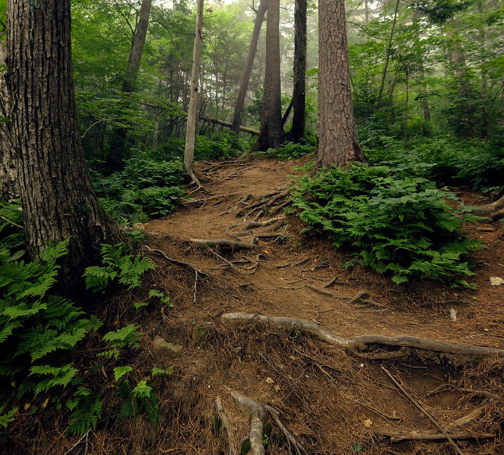 Photograph by Александр Кузнецов