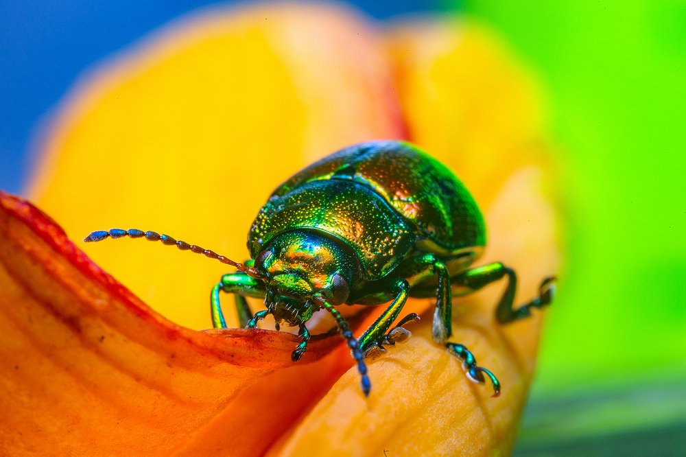 Photograph by Иван Радьков