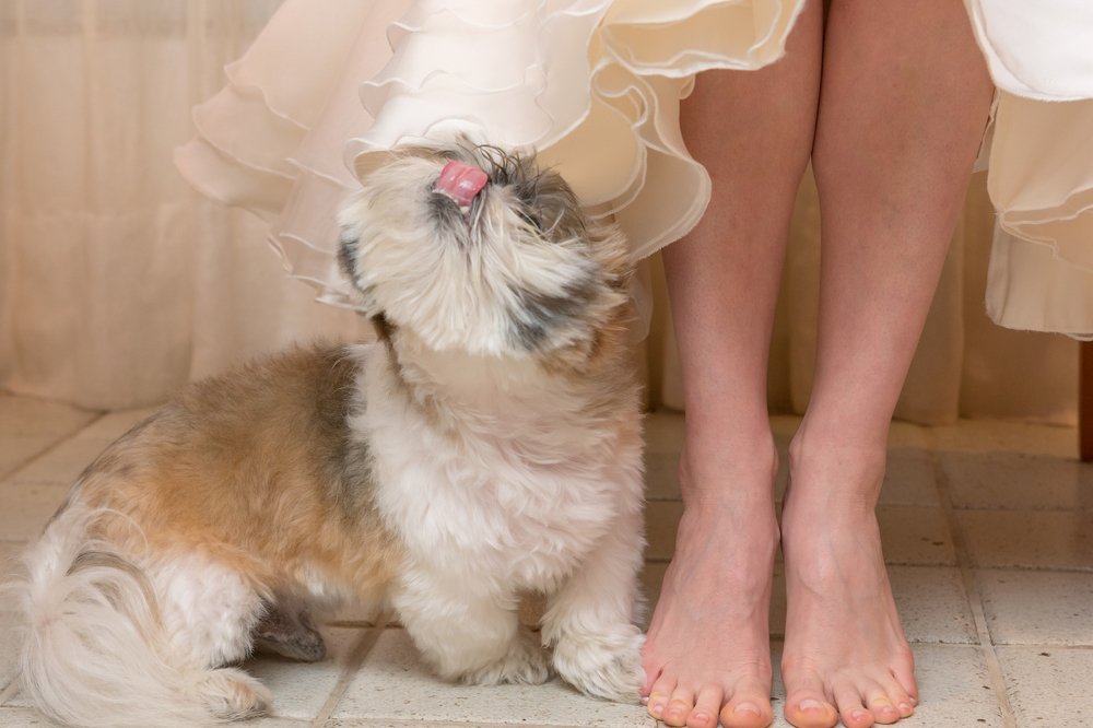 Photograph by Sabrina da Paz