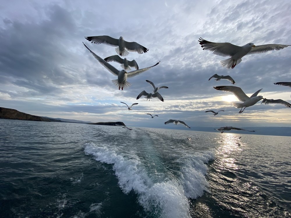 Photograph by Tamara Sulzhik