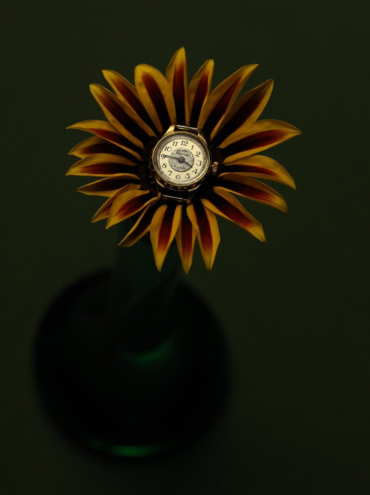 Photograph by Olena Leliuk