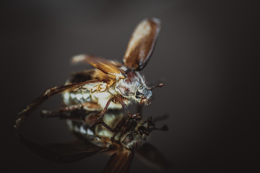 Photograph by Дмитрий Николаев