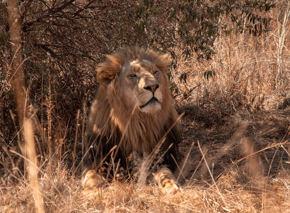 Photograph by  Анастасия Тимарг