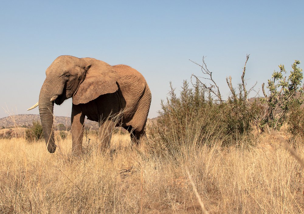 Photograph by  Анастасия Тимарг