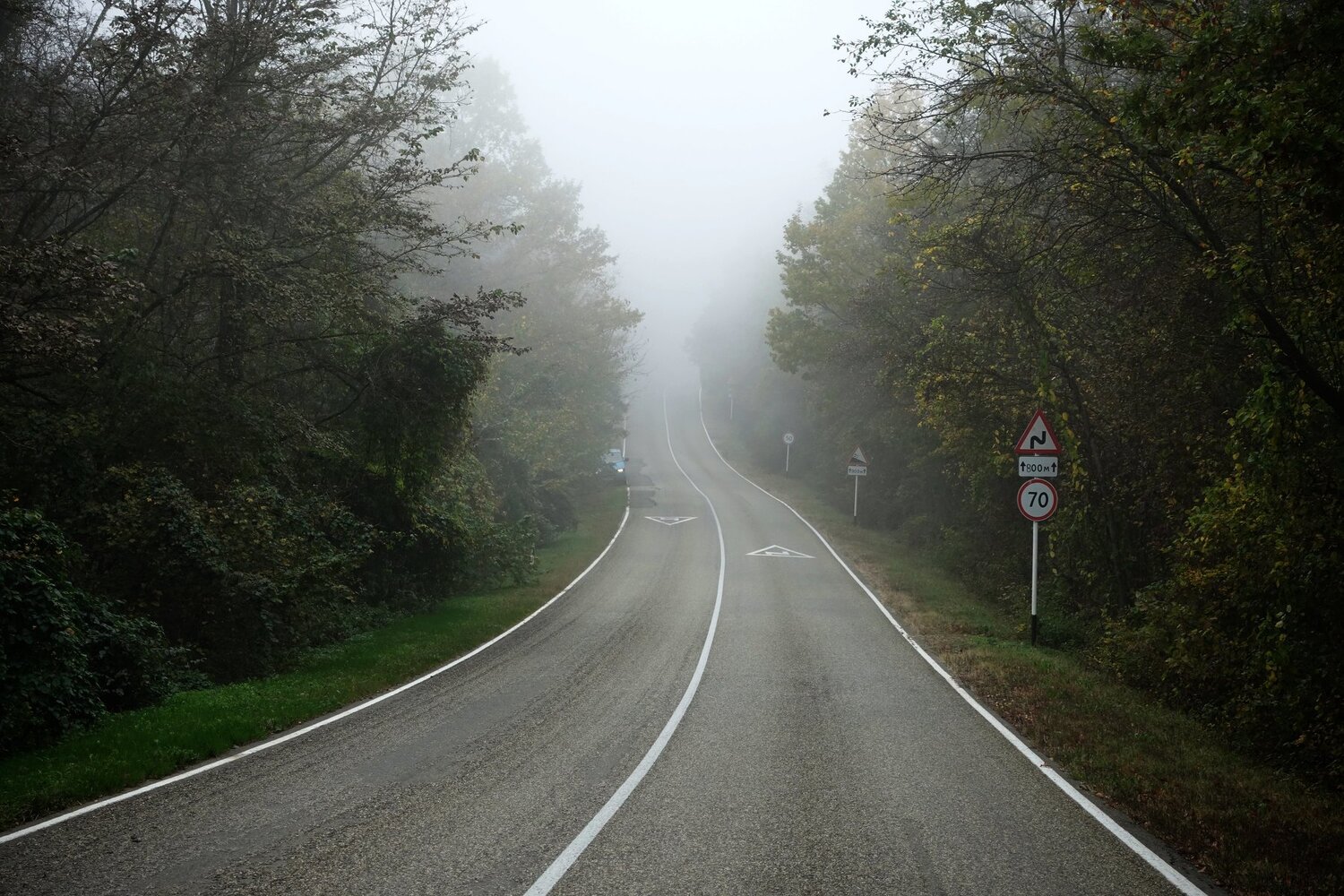 Photo #4835412