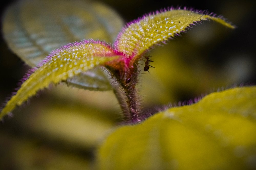 Photograph by NARRESH NARRESH