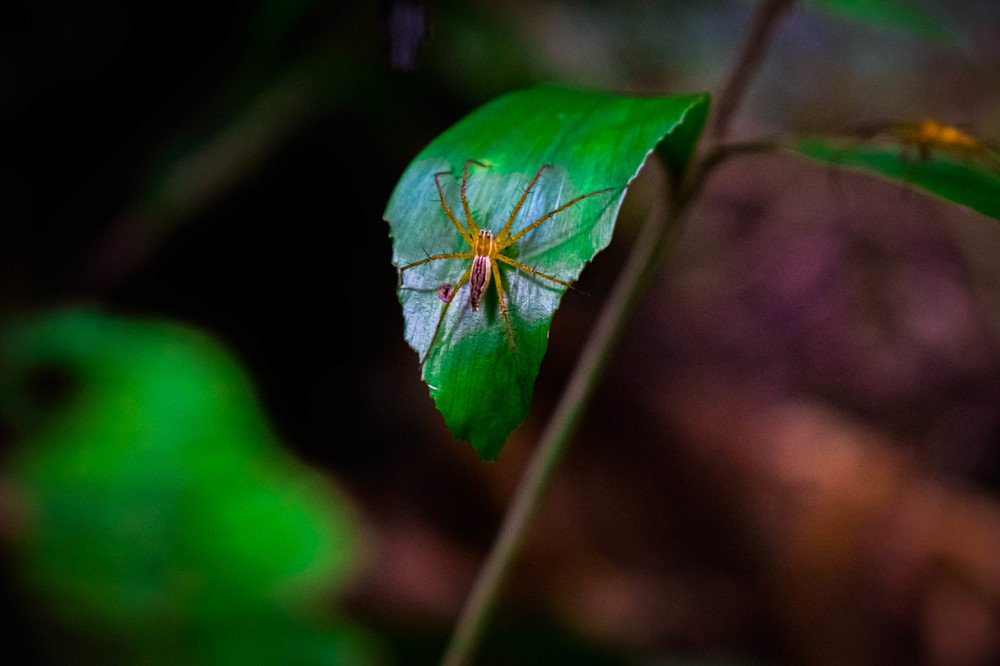 Photograph by NARRESH NARRESH