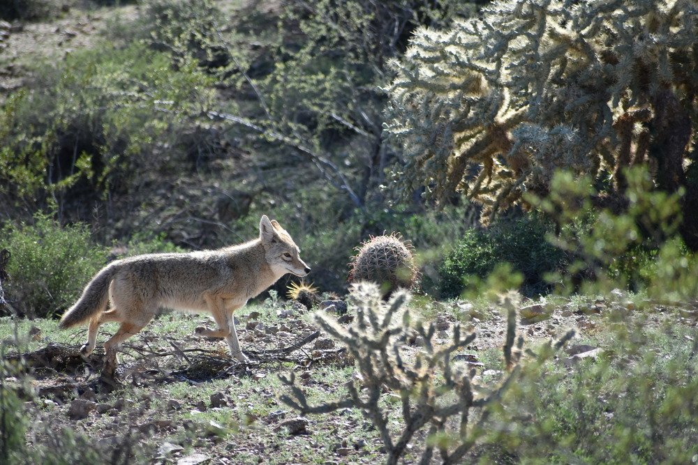 Photograph by Gulnaz Sabirova