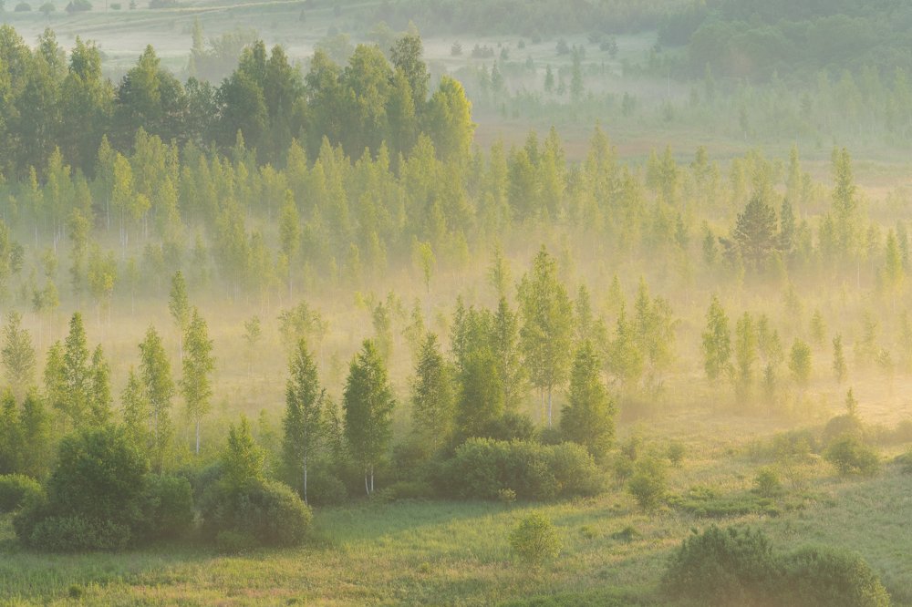 Утро в Изборске