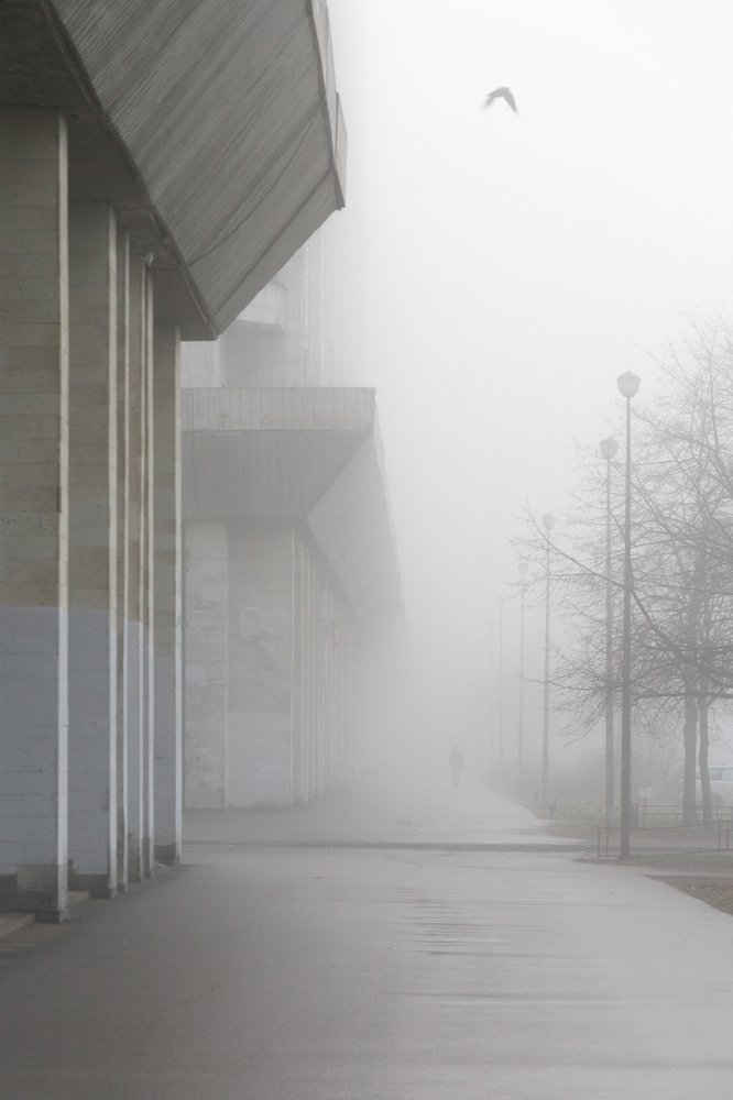 Photograph by Светлана Воробьёва