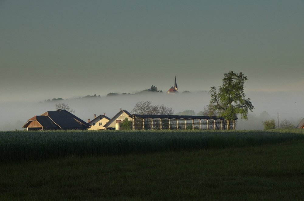 Photograph by Lojze Burja