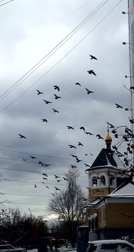 Photograph by Ольга Указова