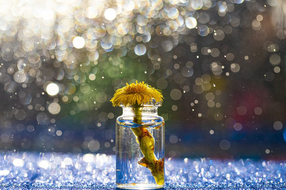 Photograph by Наталья Санталова